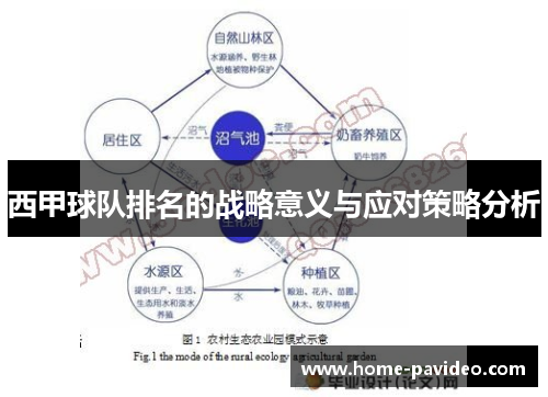 西甲球队排名的战略意义与应对策略分析
