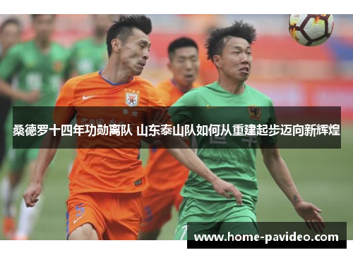 桑德罗十四年功勋离队 山东泰山队如何从重建起步迈向新辉煌 桑德罗十四年功勋离队 山东泰山队如何从重建起步迈向新辉煌