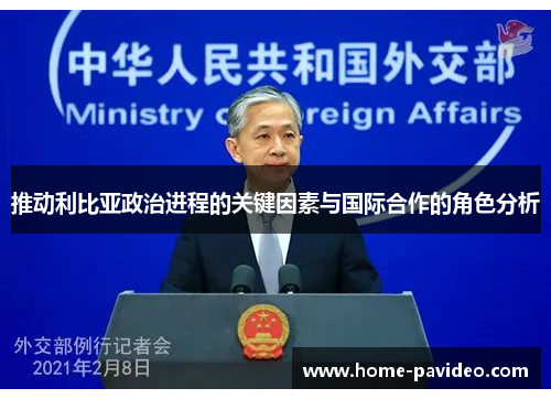 推动利比亚政治进程的关键因素与国际合作的角色分析 推动利比亚政治进程的关键因素与国际合作的角色分析