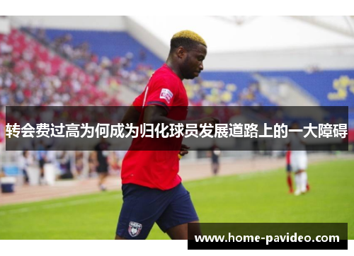 转会费过高为何成为归化球员发展道路上的一大障碍 转会费过高为何成为归化球员发展道路上的一大障碍