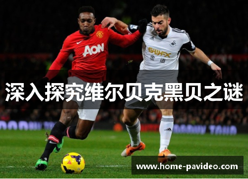 深入探究维尔贝克黑贝之谜 深入探究维尔贝克黑贝之谜