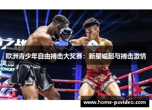 欧洲青少年自由搏击大奖赛：新星崛起与搏击激情